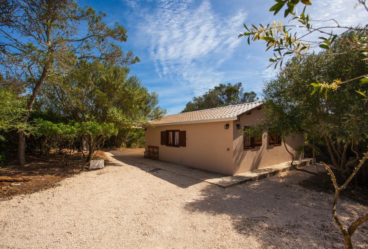 Сasa de vacaciones Wood House